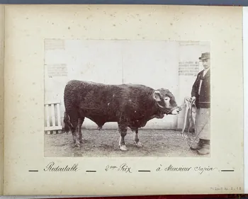 Anonyme photographie Fonds Laplaud France 1893/9/27 Ph.2009.00.2.18  Photo