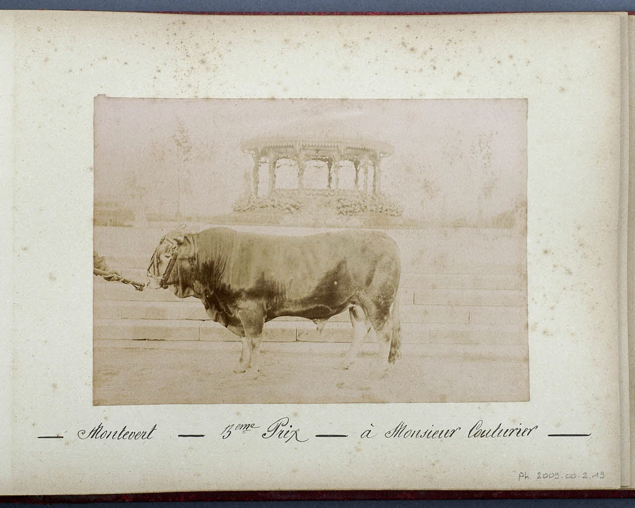 Anonyme photographie Fonds Laplaud France 1893/9/27 Ph.2009.00.2.19 Photo