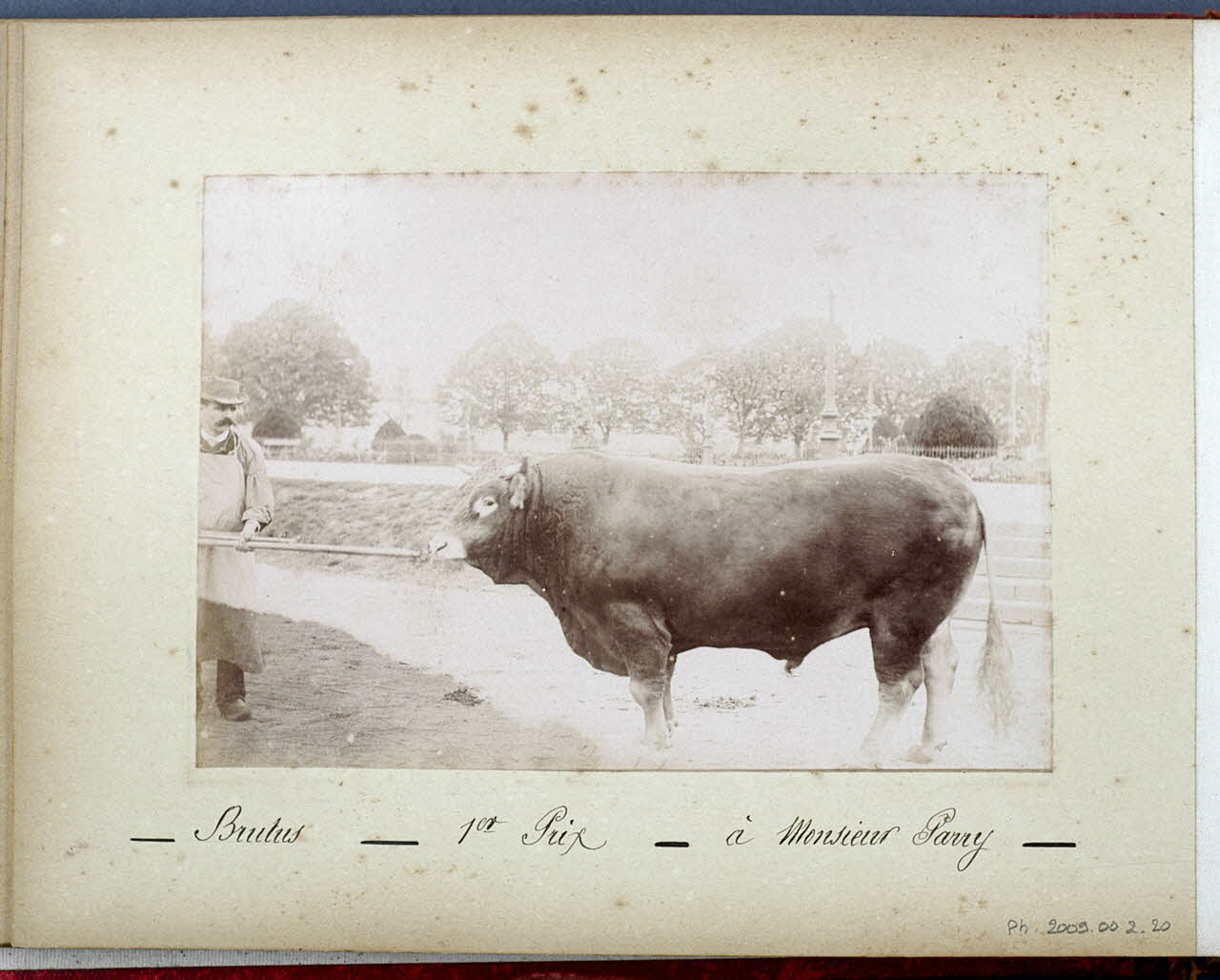 Anonyme photographie Fonds Laplaud France 1893/9/27 Ph.2009.00.2.20 Photo