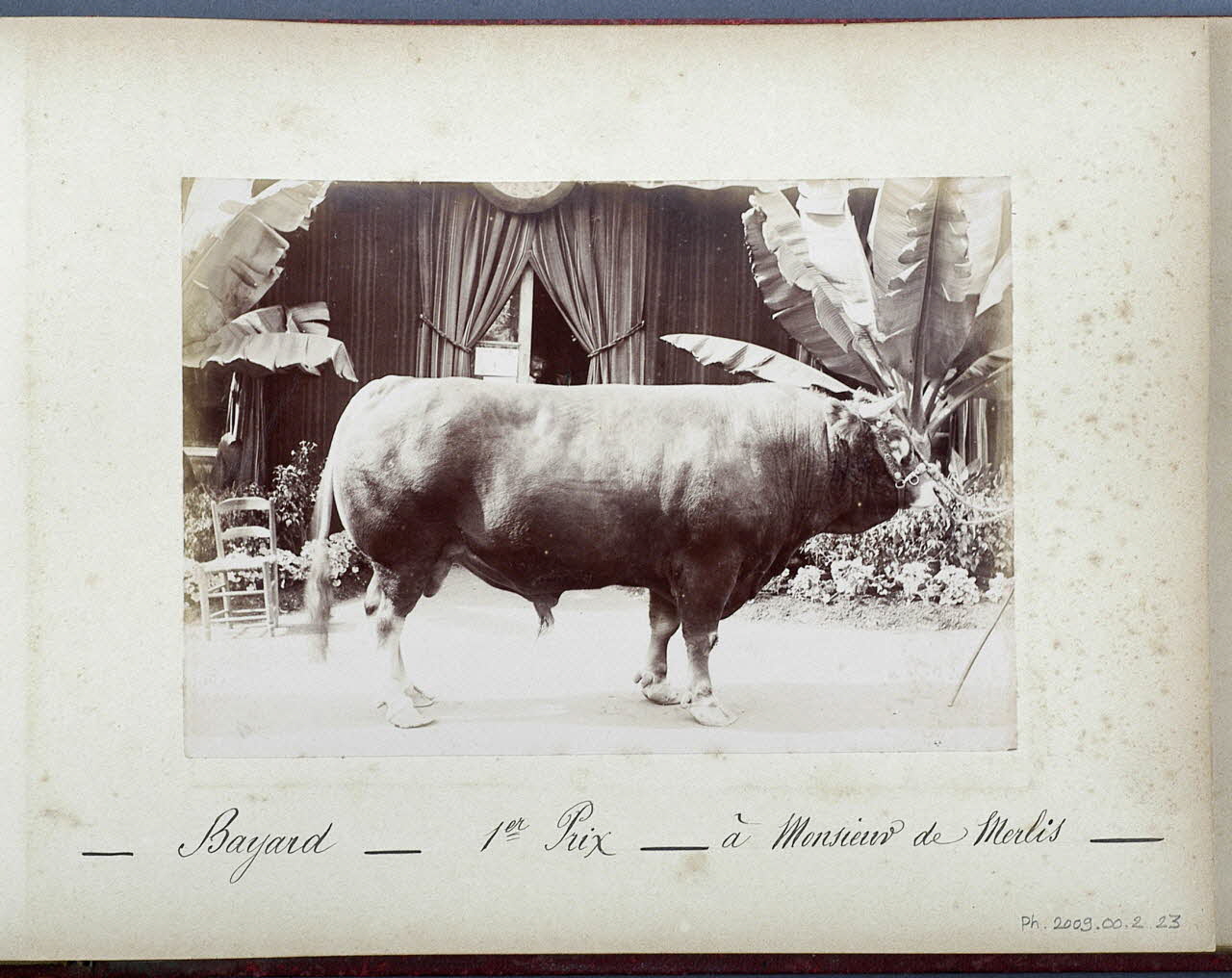 Anonyme photographie Fonds Laplaud France 1893/9/27 Ph.2009.00.2.23 Photo
