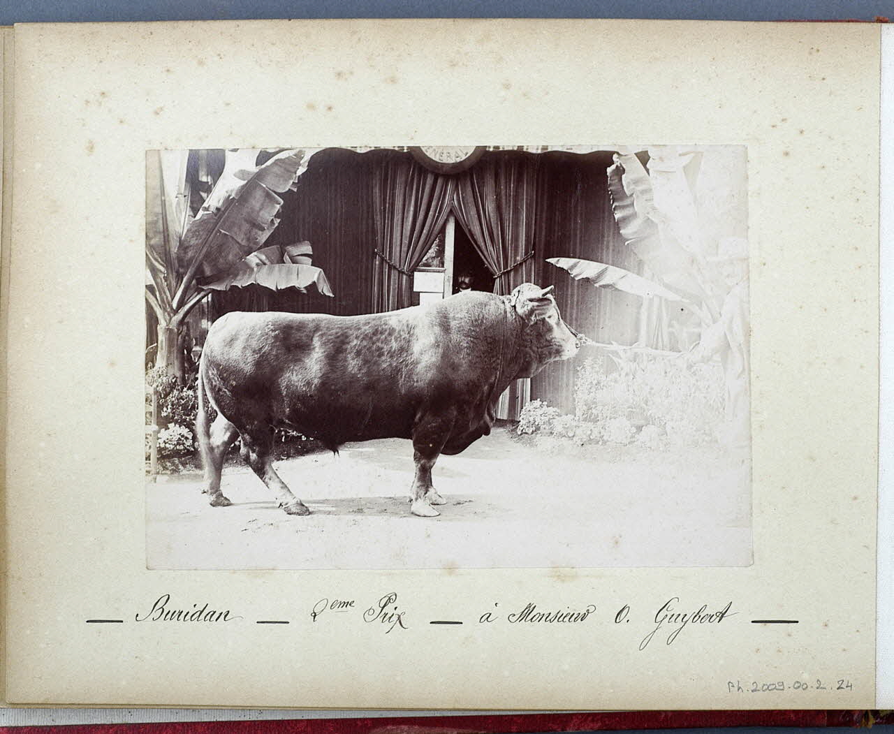 Anonyme photographie Fonds Laplaud France 1893/9/27 Ph.2009.00.2.24 Photo