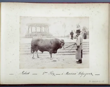 Anonyme photographie Fonds Laplaud France 1893/9/27 Ph.2009.00.2.25  Photo