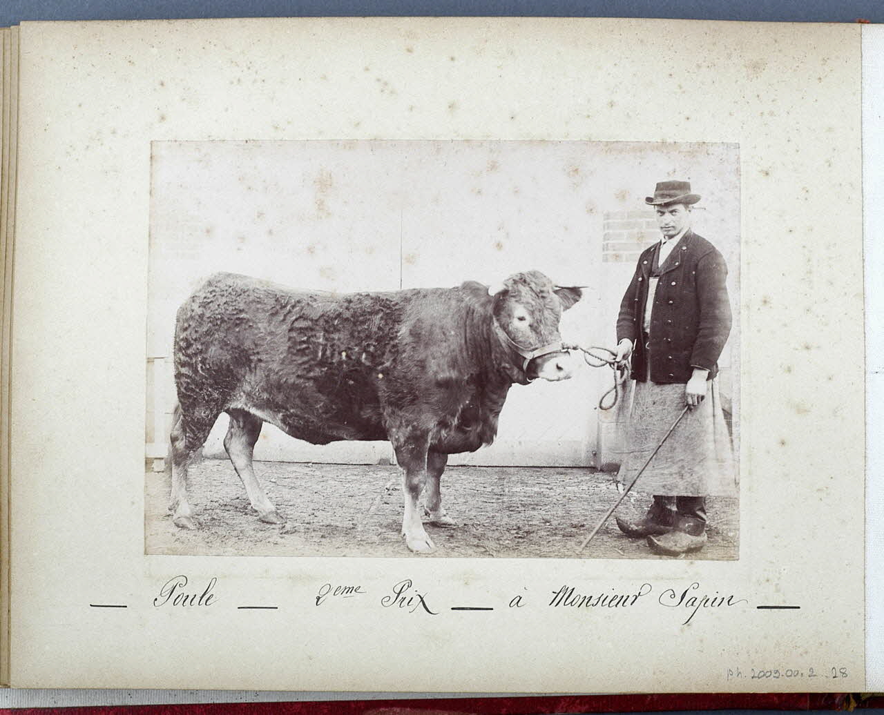 Anonyme photographie Fonds Laplaud France 1893/9/27 Ph.2009.00.2.28 Photo