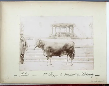 Anonyme photographie Fonds Laplaud France 1893/9/27 Ph.2009.00.2.30  Photo