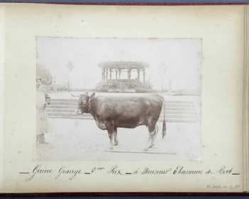 Anonyme photographie Fonds Laplaud France 1893/9/27 Ph.2009.00.2.31  Photo