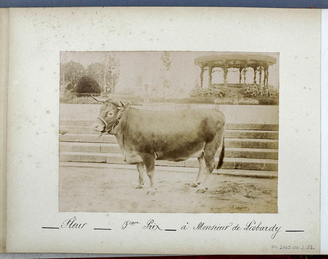 Anonyme photographie Fonds Laplaud France 1893/9/27 Ph.2009.00.2.32 Photo