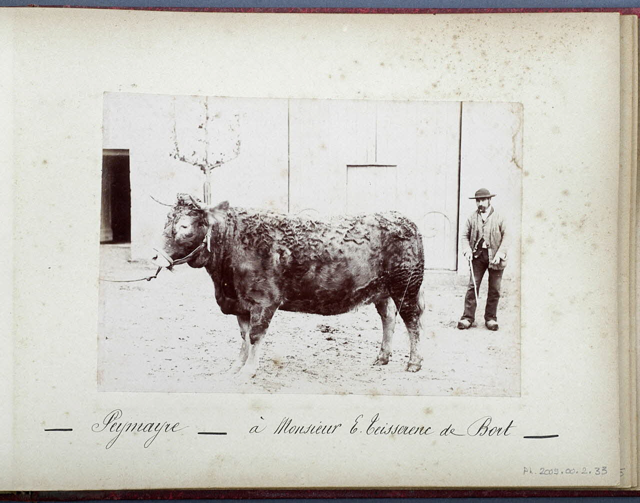 Anonyme photographie Fonds Laplaud France 1893/9/27 Ph.2009.00.2.33 Photo
