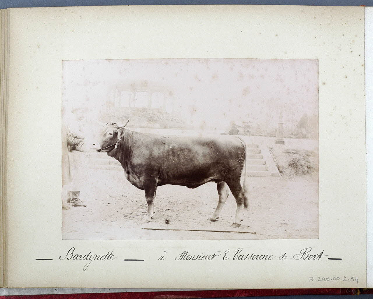 Anonyme photographie Fonds Laplaud France 1893/9/27 Ph.2009.00.2.34 Photo