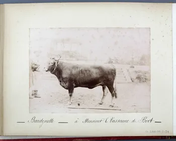 Anonyme photographie Fonds Laplaud France 1893/9/27 Ph.2009.00.2.34  Photo
