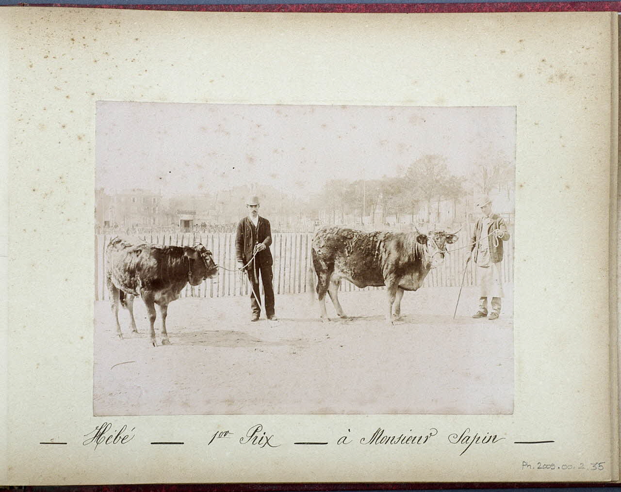 Anonyme photographie Fonds Laplaud France 1893/9/27 Ph.2009.00.2.35 Photo