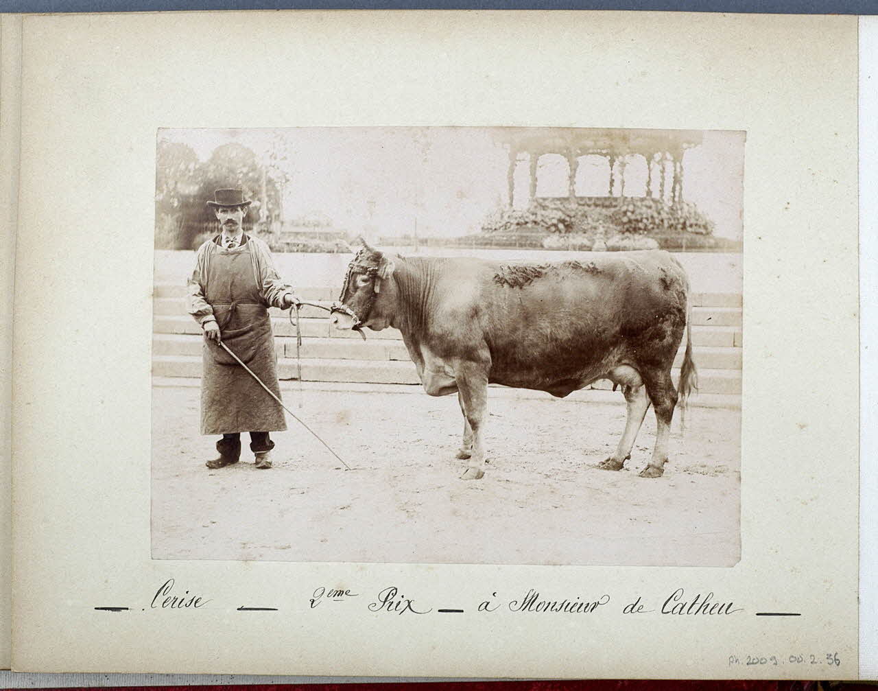 Anonyme photographie Fonds Laplaud France 1893/9/27 Ph.2009.00.2.36 Photo