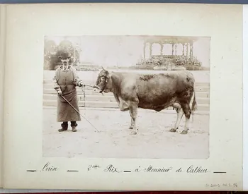 Anonyme photographie Fonds Laplaud France 1893/9/27 Ph.2009.00.2.36  Photo