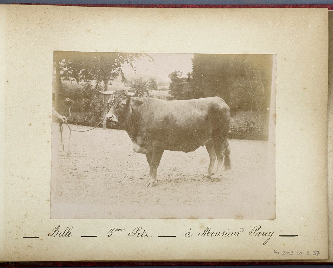 Anonyme photographie Fonds Laplaud France 1893/9/27 Ph.2009.00.2.37 Photo