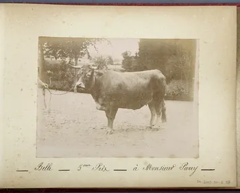 Anonyme photographie Fonds Laplaud France 1893/9/27 Ph.2009.00.2.37  Photo