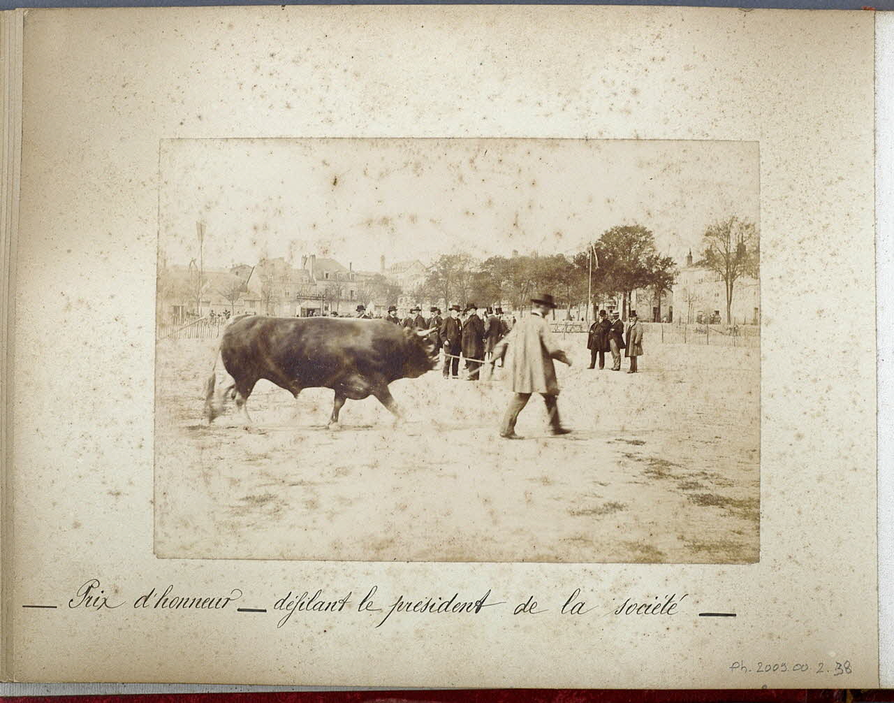 Anonyme photographie Fonds Laplaud France 1893/9/27 Ph.2009.00.2.38 Photo