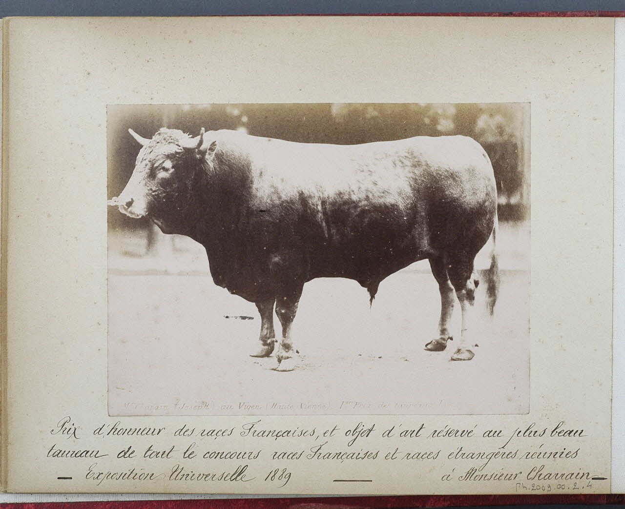 Anonyme photographie Fonds Laplaud Ile-de-France, France 1889 Ph.2009.00.2.4 Photo