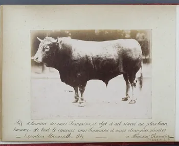 Anonyme photographie Fonds Laplaud Ile-de-France, France 1889 Ph.2009.00.2.4  Photo