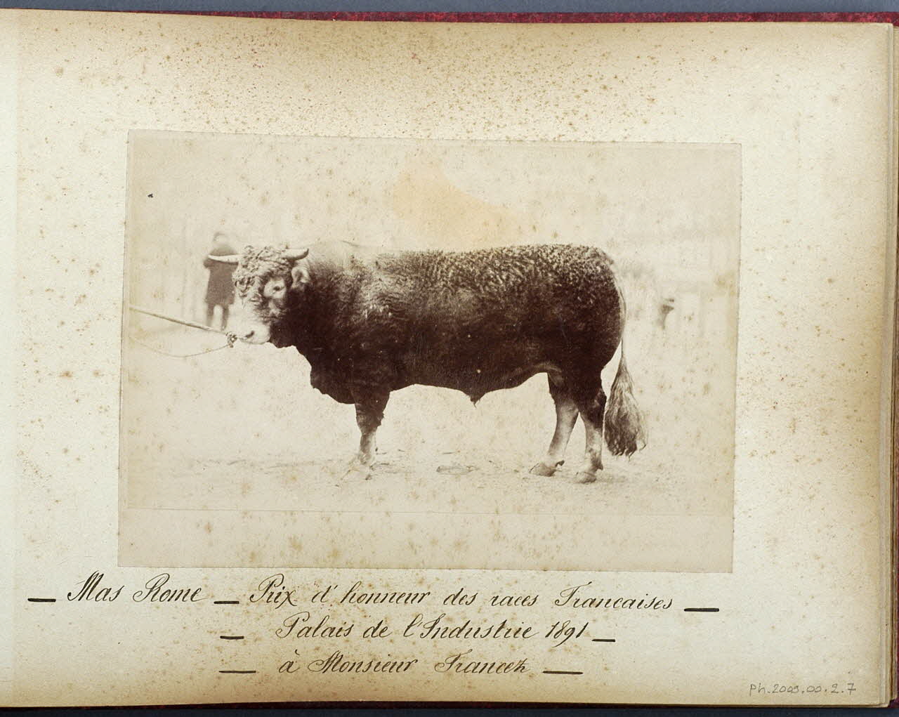 Anonyme photographie Fonds Laplaud France 1891 Ph.2009.00.2.7  Photo