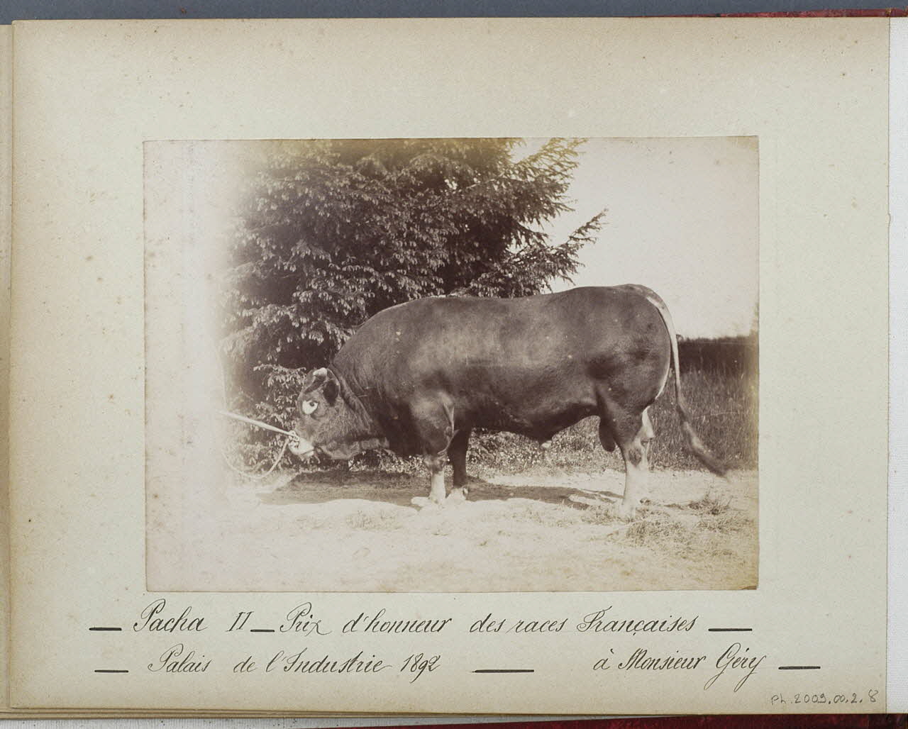 Anonyme photographie Fonds Laplaud France 1892 Ph.2009.00.2.8 Photo