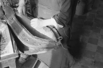 Guy Pison photographie MNATP. Enquête sur la Sologne Centre, France 1937/9/16 Ph.1937.1672 Photo