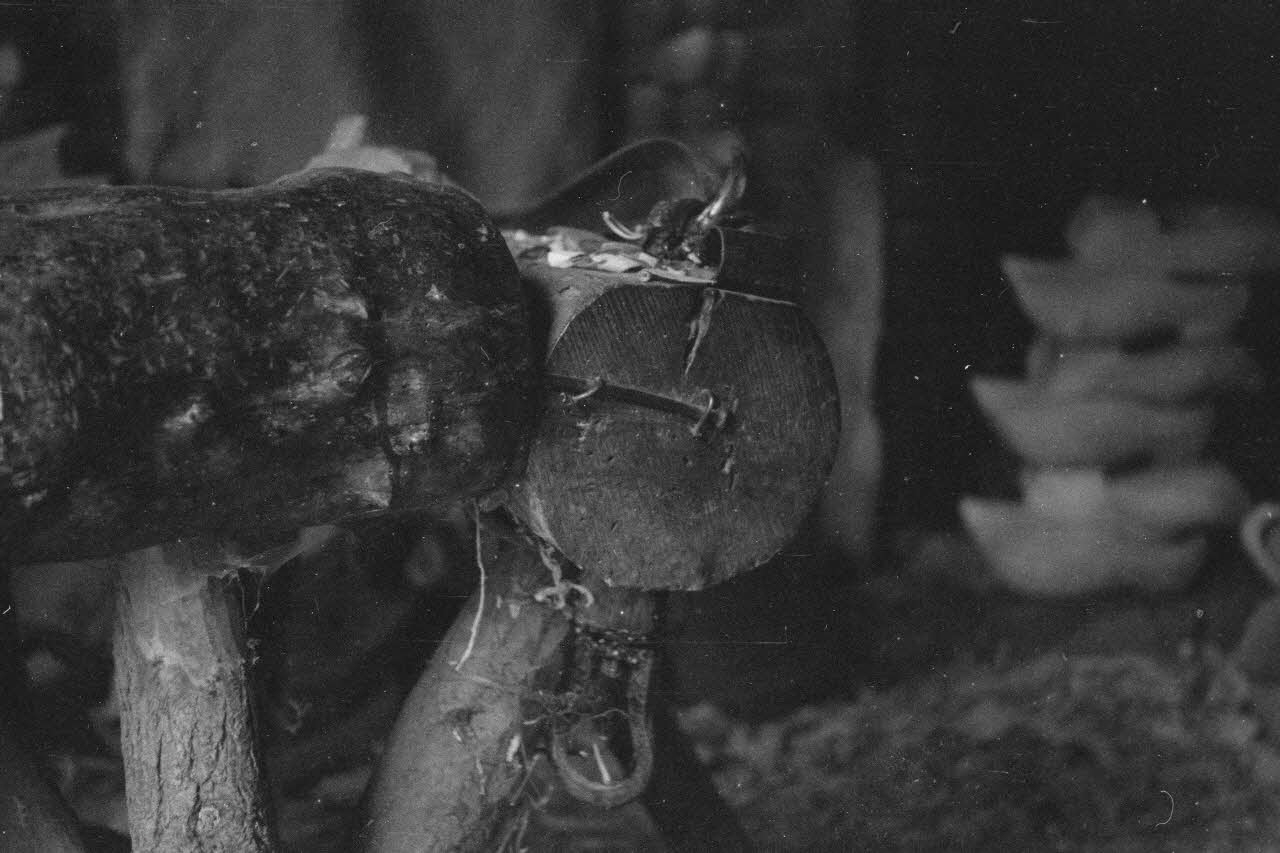 Guy Pison photographie MNATP. Enquête sur la Sologne Centre, France 1937/9/16 Ph.1937.1777  Photo