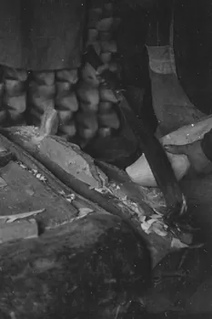 Guy Pison photographie MNATP. Enquête sur la Sologne Centre, France 1937/9/16 Ph.1937.1774 Photo