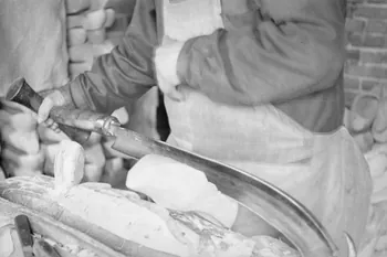 Guy Pison photographie MNATP. Enquête sur la Sologne Centre, France 1937/9/16 Ph.1937.1792 Photo