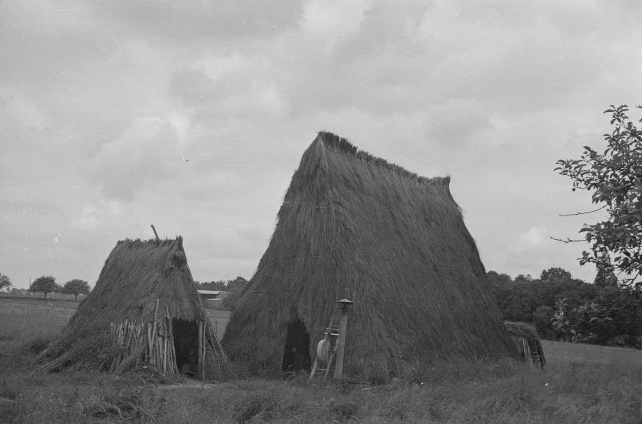 Heinz Lehmann photographie Route de Maizières. Ferme du Bois-Prieur. Fermier Monsieur Fontaine. Hangars construits par le fermier en 1920. Direction Nord-Est Centre, France 1936/6/1 Ph.1936.180  Photo