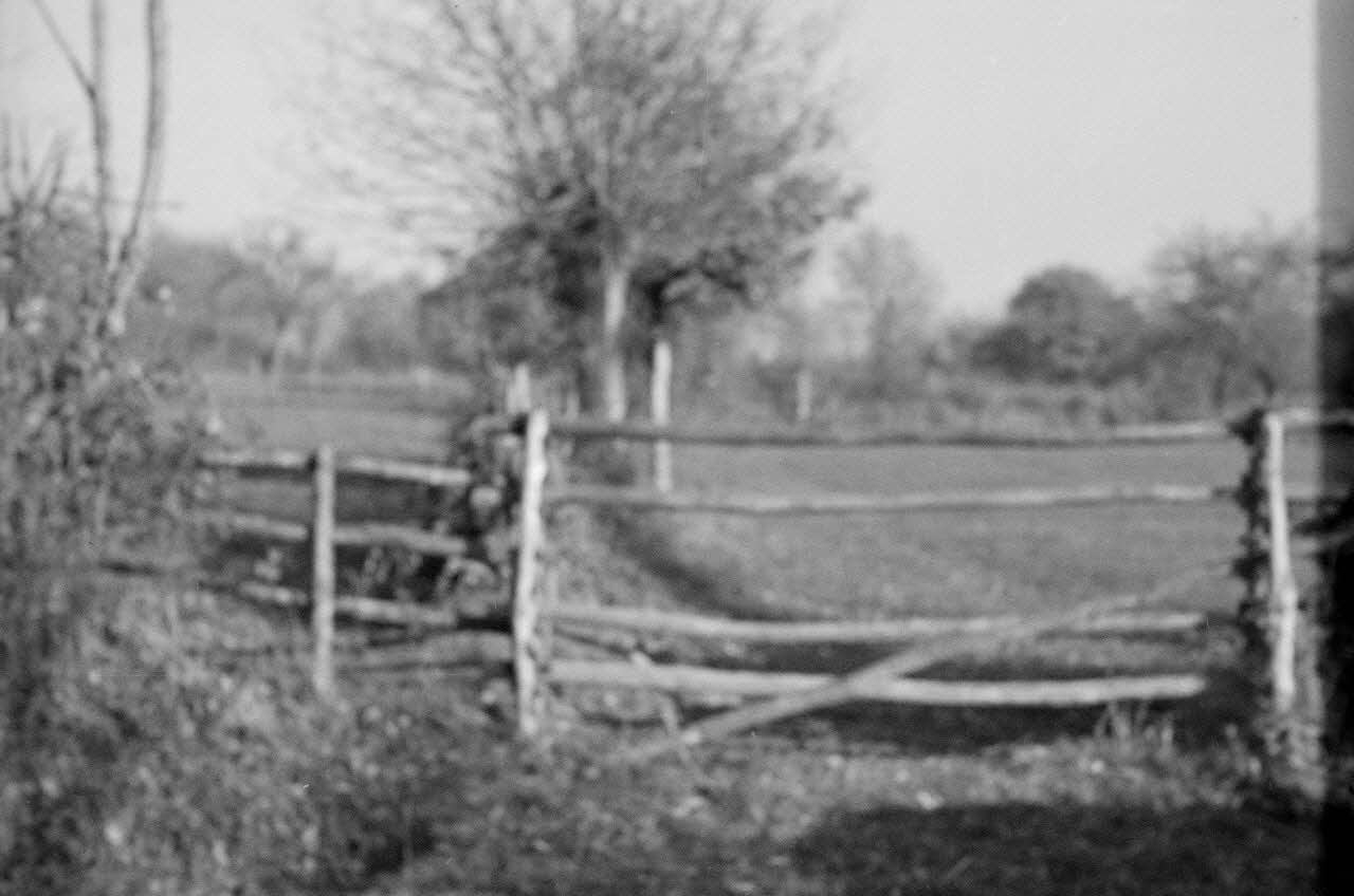 Guy Pison photographie Entre Avezé et Préval. Barrière de champ en bois Pays de la Loire, France 1937/10/30 Ph.1937.2688 Photo