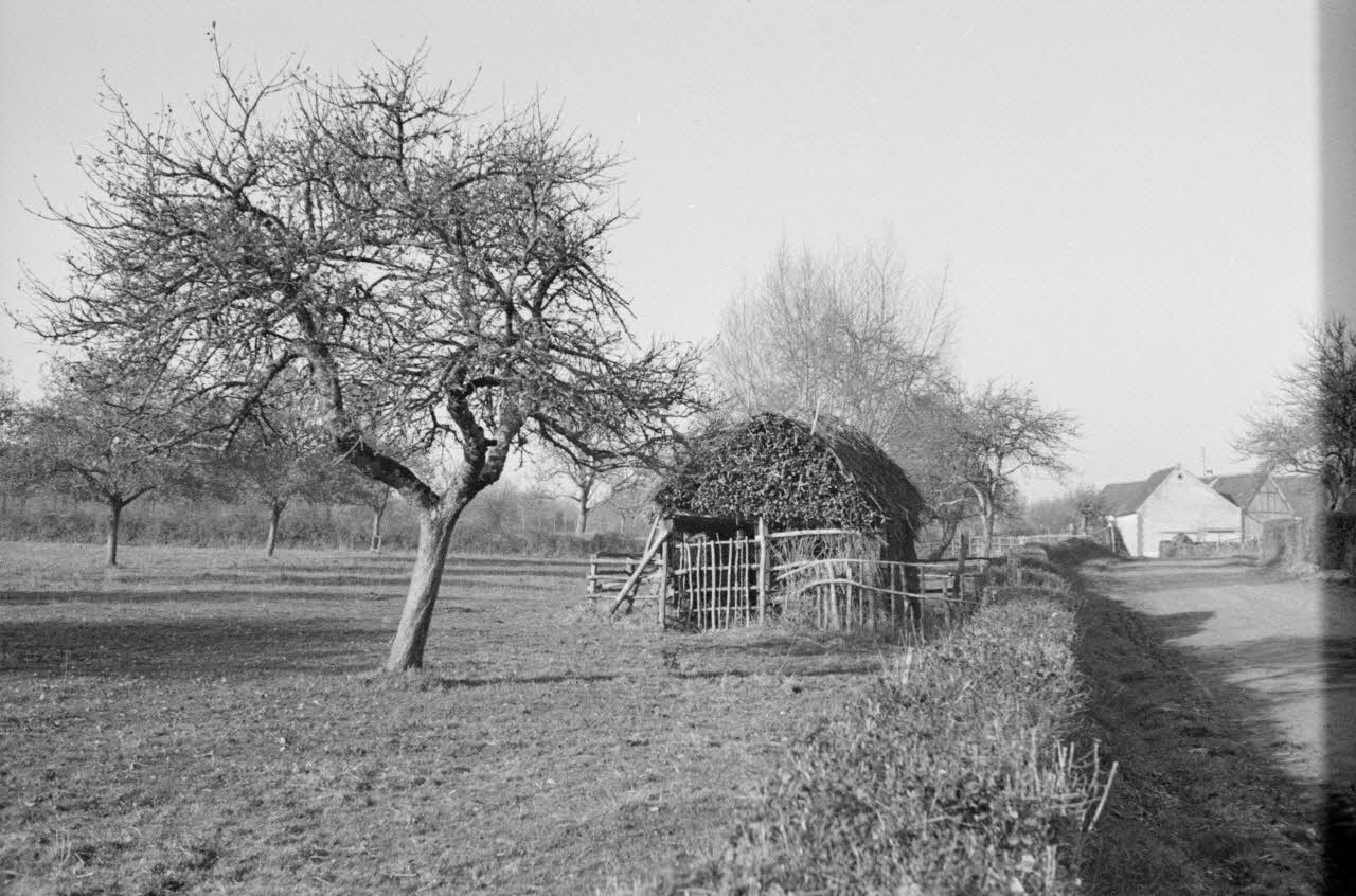 Guy Pison photographie Entre Avezé et Préval. Loge. Couverture en bottes de paille Pays de la Loire, France 1937/10/30 Ph.1937.2686 Photo
