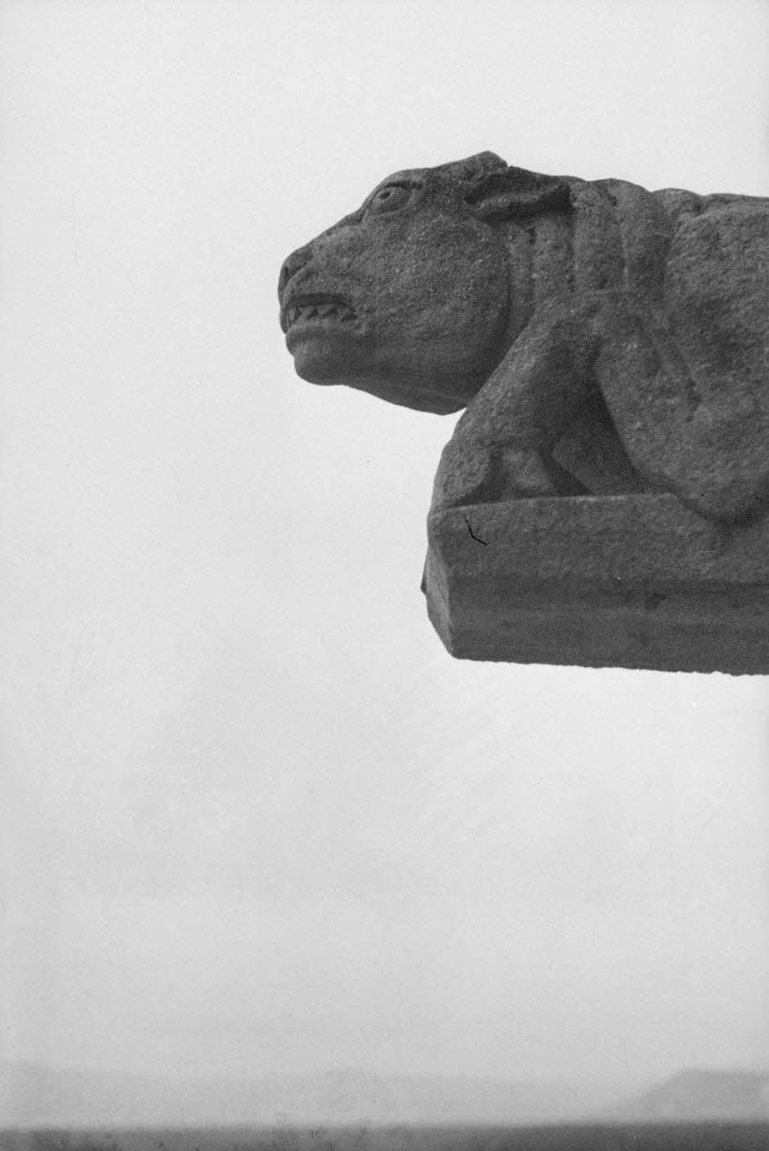 Guy Pison photographie Sur la route de Vichy à Thiers. Chapelle Saint-Michel. Gargouille Auvergne, France 1938/11/1 Ph.1937.3191 Photo