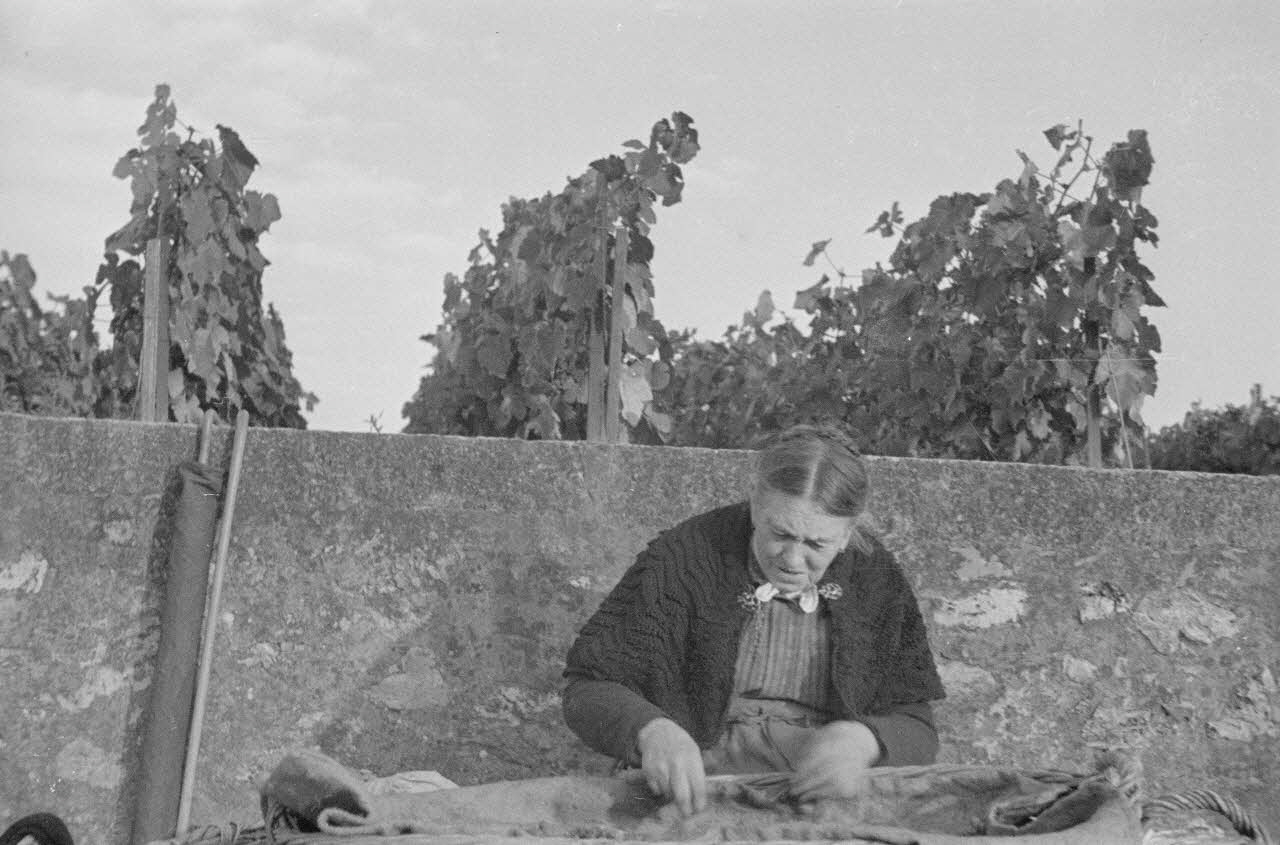 Duchemin photographie Vieille femme épluchant les grappes Champagne-Ardenne, France 1937/9/23 Ph.1937.3071 Photo
