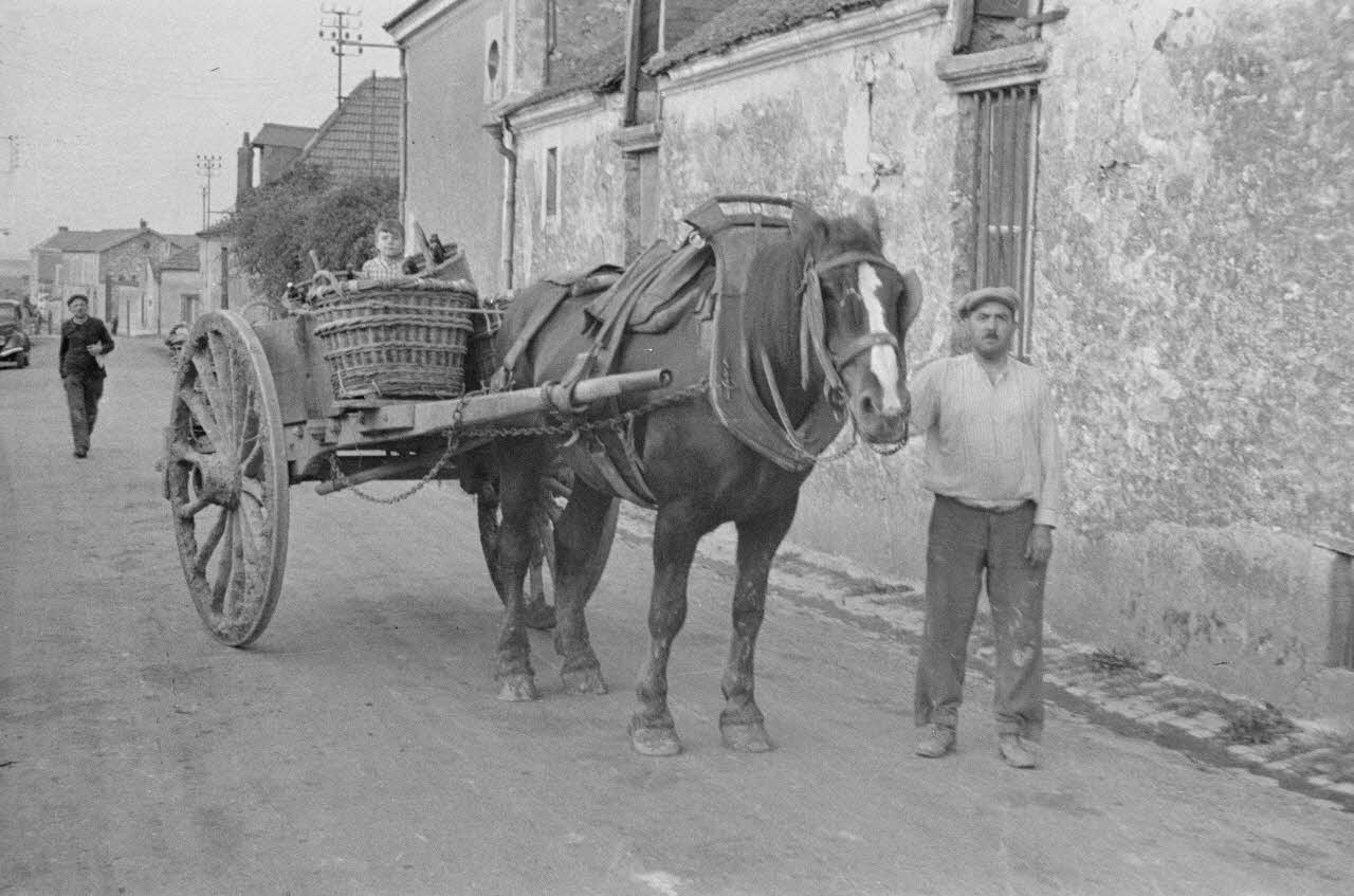 Duchemin photographie Charrette Champagne-Ardenne, France 1937/9/23 Ph.1937.3076 Photo