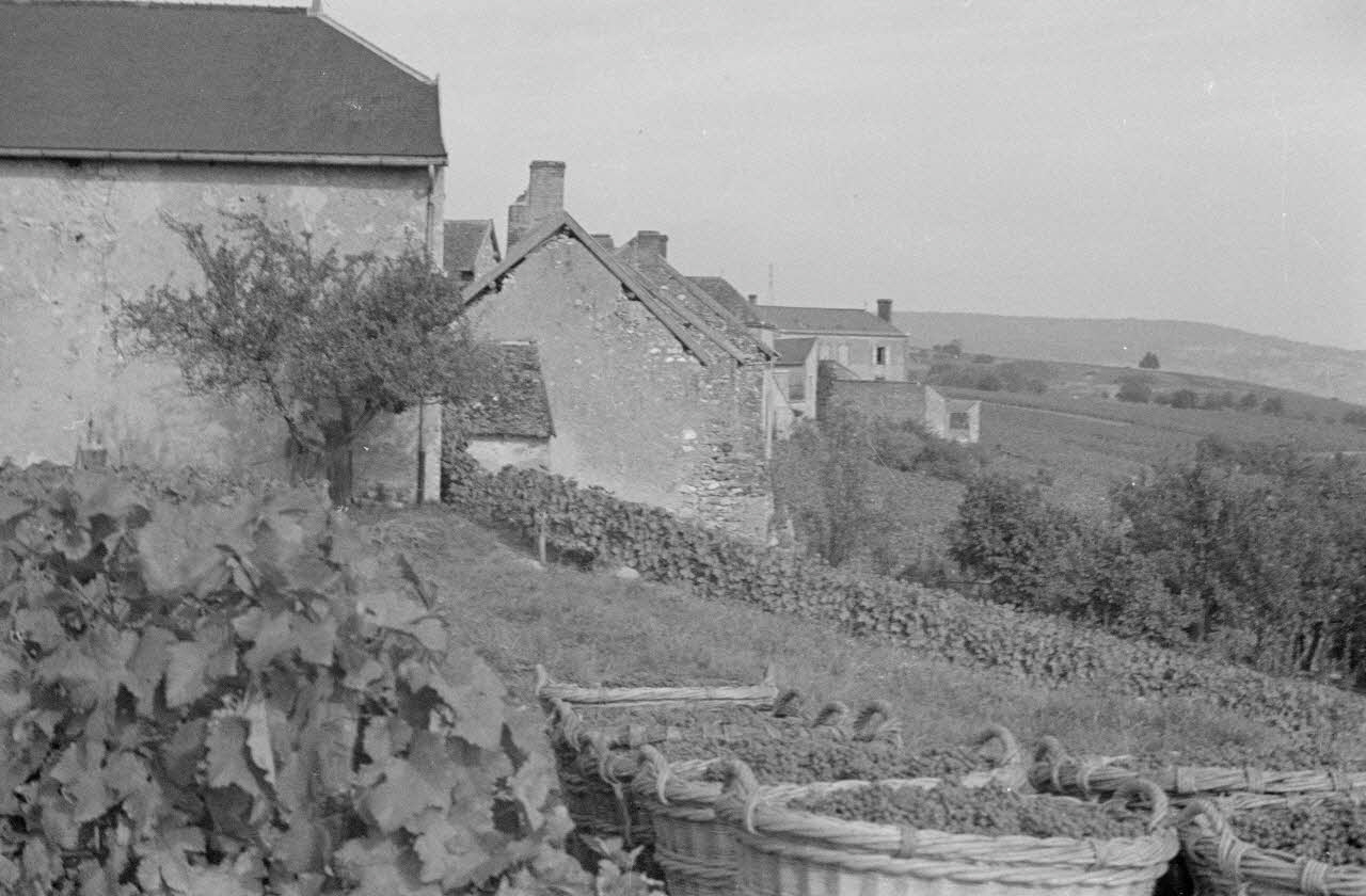 Duchemin photographie Village et vignoble Champagne-Ardenne, France 1937/9/24 Ph.1937.3093 Photo Mucem / Duchemin