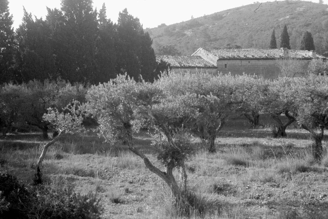 Marcel Maget photographie MNATP. Mission de Marcel Maget et André Varagnac en Provence (novembre 1938) Provence-Alpes-Côte d'Azur, France 1938/11/12 Ph.1939.1.347 Photo