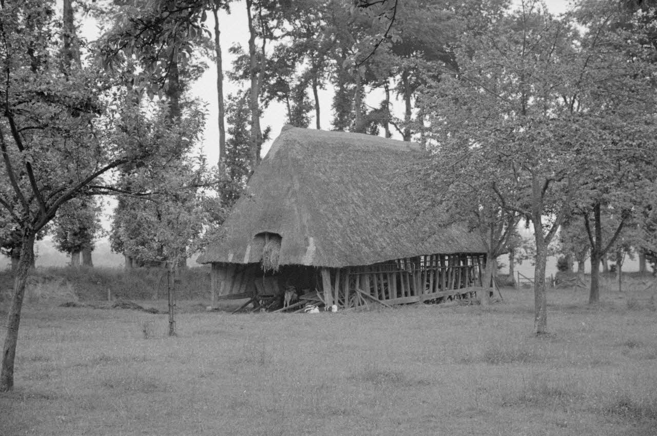 Heinz Lehmann photographie Ferme de Corneille. Charretterie. Direction Nord. Fermier : M. Daniel Follet Haute-Normandie, France 1936/6/26 Ph.1936.554 Photo