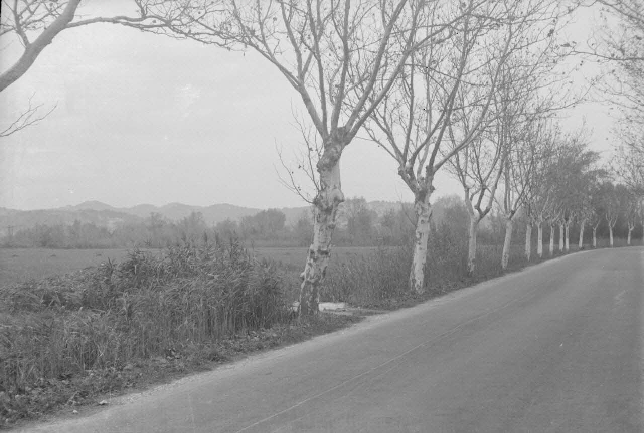 Marcel Maget photographie MNATP. Mission de Marcel Maget et André Varagnac en Provence (novembre 1938) Provence-Alpes-Côte d'Azur, France 1938/11/16 Ph.1939.1.397 Photo