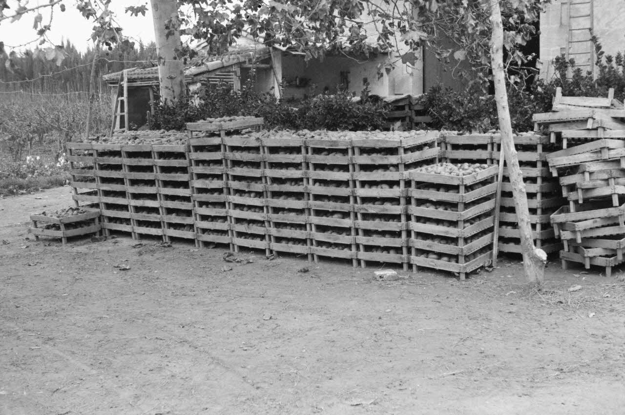 Marcel Maget photographie MNATP. Mission de Marcel Maget et André Varagnac en Provence (novembre 1938) Provence-Alpes-Côte d'Azur, France 1938/11/17 Ph.1939.1.462 Photo