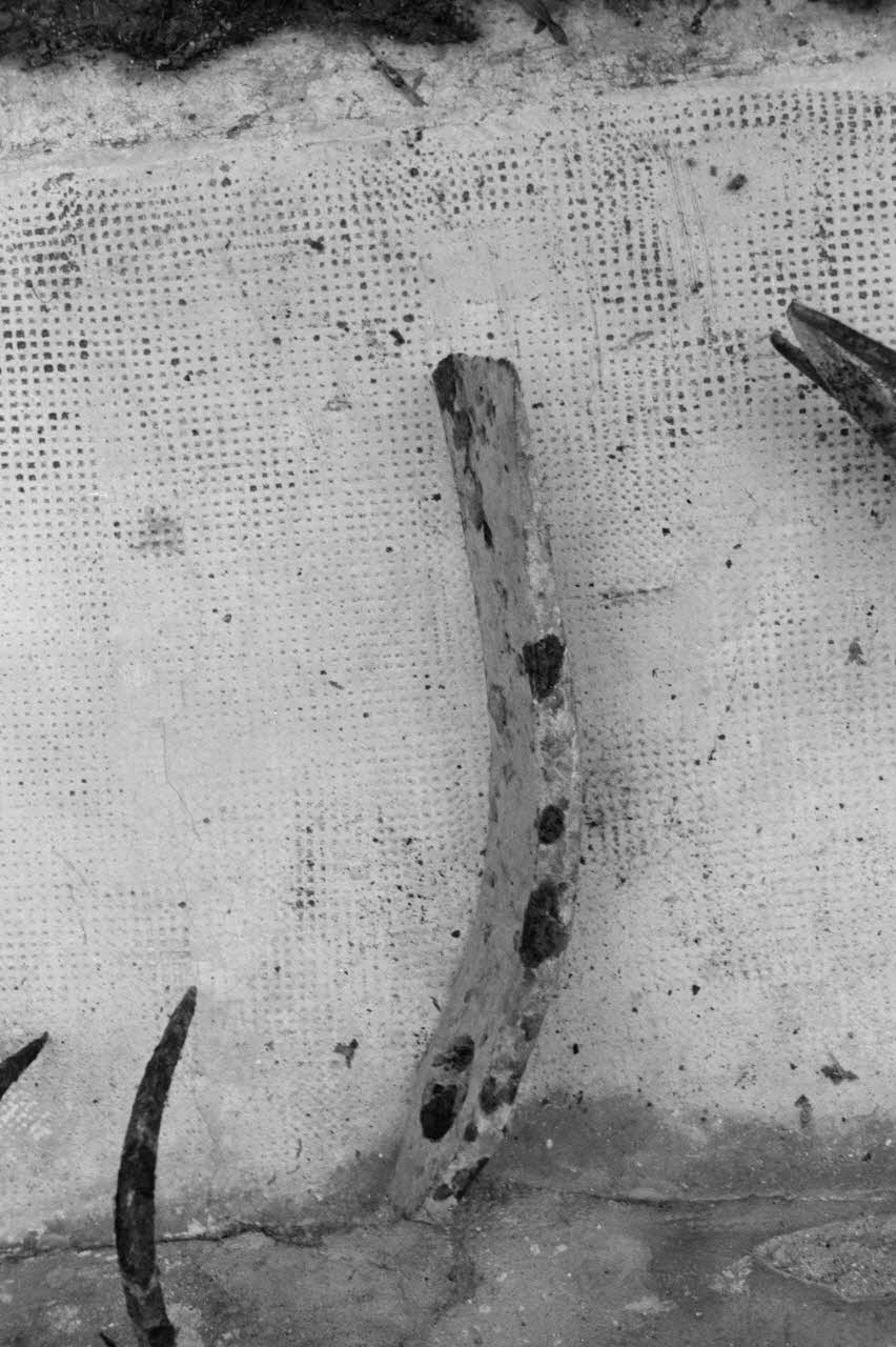 Marcel Maget photographie MNATP. Mission de Marcel Maget et André Varagnac en Provence (novembre 1938) Provence-Alpes-Côte d'Azur, France 1938/11/17 Ph.1939.1.473 Photo