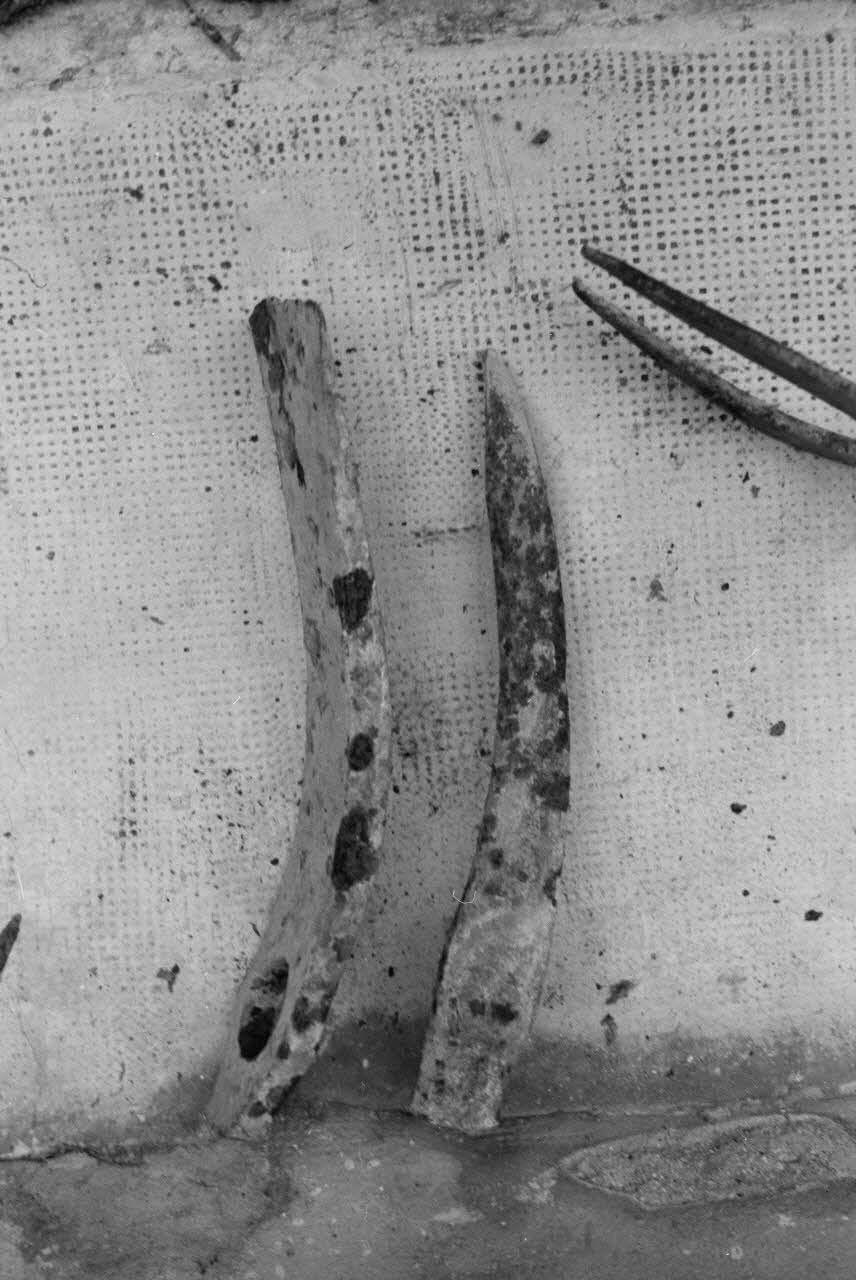 Marcel Maget photographie MNATP. Mission de Marcel Maget et André Varagnac en Provence (novembre 1938) Provence-Alpes-Côte d'Azur, France 1938/11/17 Ph.1939.1.474 Photo