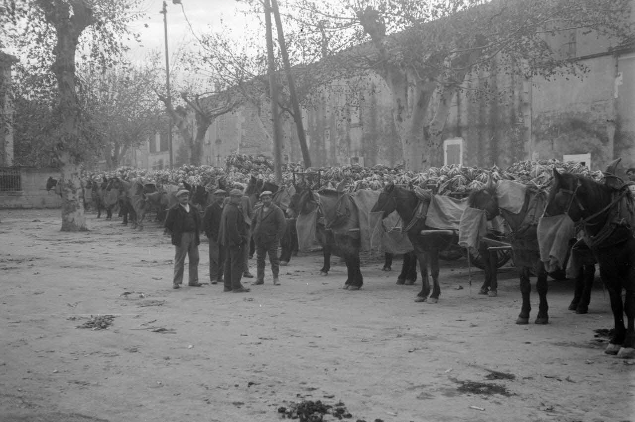Marcel Maget photographie MNATP. Mission de Marcel Maget et André Varagnac en Provence (novembre 1938) Provence-Alpes-Côte d'Azur, France 1939/11/1 Ph.1939.1.576 Photo