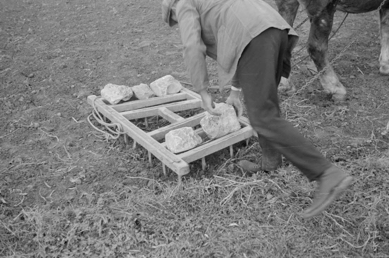 Marcel Maget photographie MNATP. Mission de Marcel Maget et André Varagnac en Provence (novembre 1938) Provence-Alpes-Côte d'Azur, France 1939/11/1 Ph.1939.1.581 Photo
