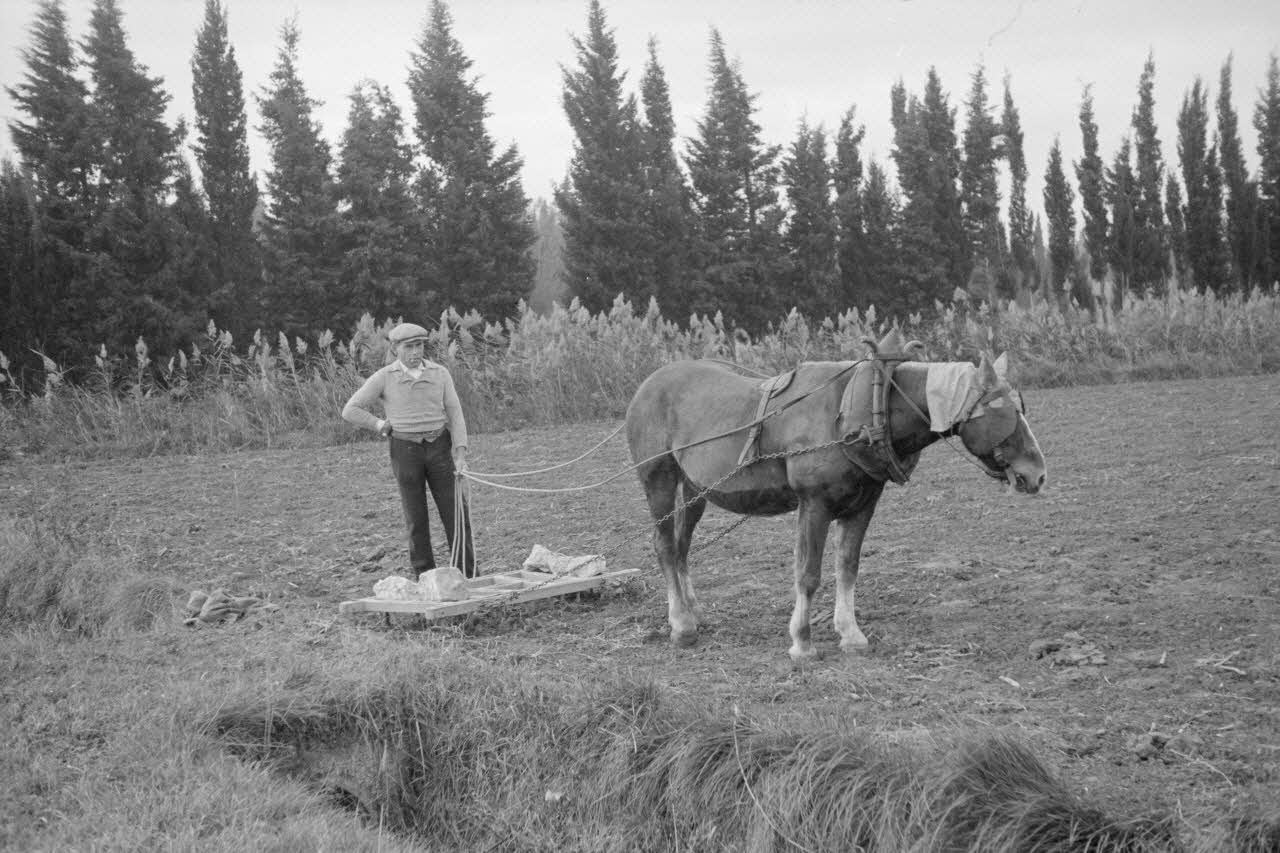 Marcel Maget photographie MNATP. Mission de Marcel Maget et André Varagnac en Provence (novembre 1938) Provence-Alpes-Côte d'Azur, France 1939/11/1 Ph.1939.1.582 Photo