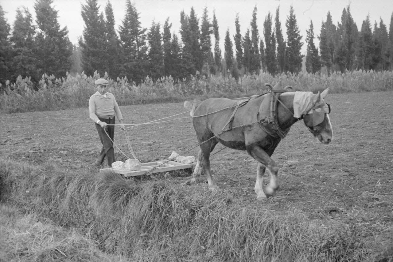 Marcel Maget photographie MNATP. Mission de Marcel Maget et André Varagnac en Provence (novembre 1938) Provence-Alpes-Côte d'Azur, France 1939/11/1 Ph.1939.1.583 Photo
