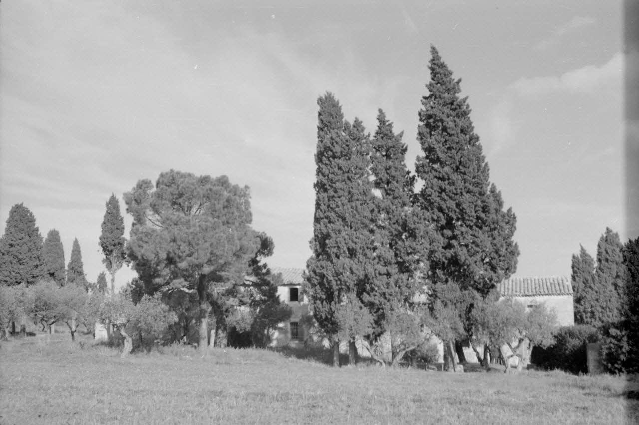 Guy Pison photographie MNATP. Mission de Marcel Maget et André Varagnac en Provence (novembre 1938) Provence-Alpes-Côte d'Azur, France 1938/11/13 Ph.1939.1.650 Photo