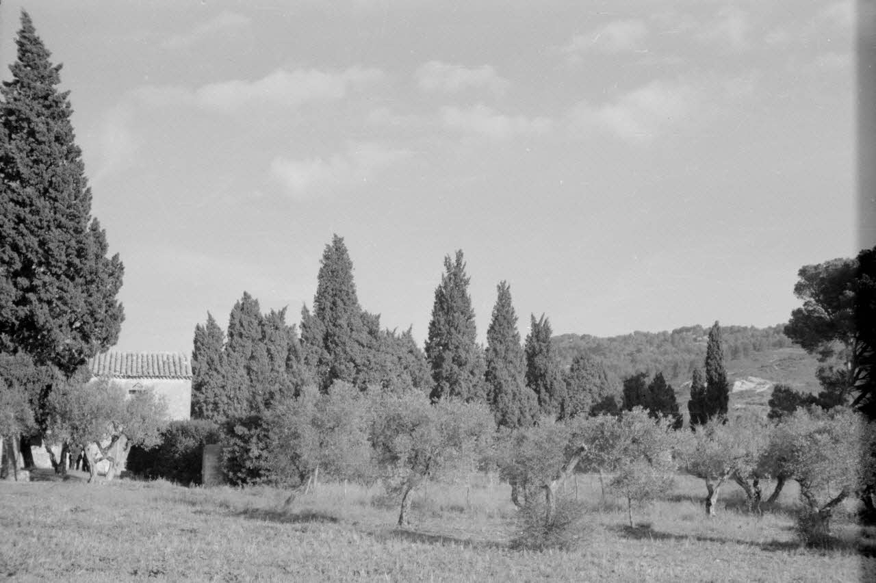 Guy Pison photographie MNATP. Mission de Marcel Maget et André Varagnac en Provence (novembre 1938) Provence-Alpes-Côte d'Azur, France 1938/11/13 Ph.1939.1.651 Photo