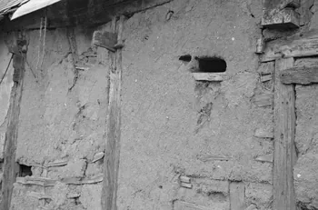 Heinz Lehmann photographie Ferme de Monsieur Dubois. Détail de mur en pisé Haute-Normandie, France 1936/6/27 Ph.1936.597 Photo