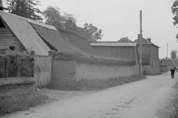 Heinz Lehmann photographie Vieux mur en pisé avec iris Haute-Normandie, France 1936/6/28 Ph.1936.654 Photo