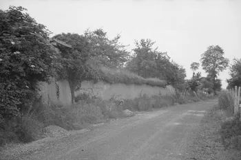 Heinz Lehmann photographie Ferme de Monsieur Bourcier. Mur extérieur en pisé recouvert de fougère à iris Basse-Normandie, France 1936/6/28 Ph.1936.678 Photo