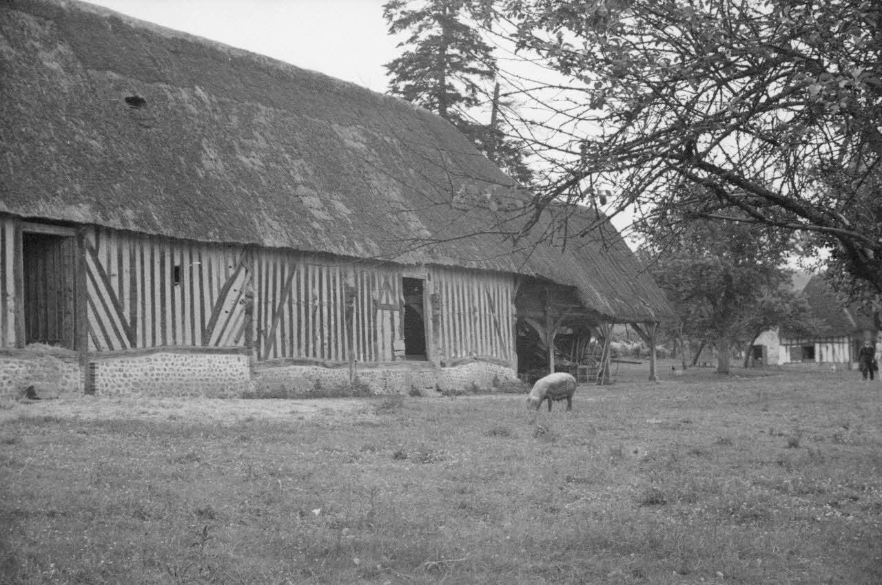 Heinz Lehmann photographie Ferme de Courcelles près de Fontaine-l'Abbé. Grange et charretterie Haute-Normandie, France 1936/6/28 Ph.1936.690 Photo